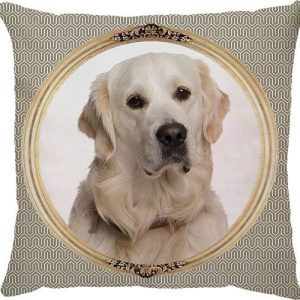 Capa de Almofada Golden